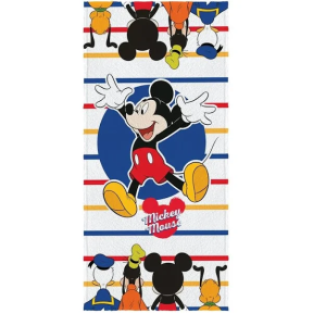 Toalha de Praia Infantil Lepper Aveludada Personagens INFANTIL AVELUDADA PERSONAGENS